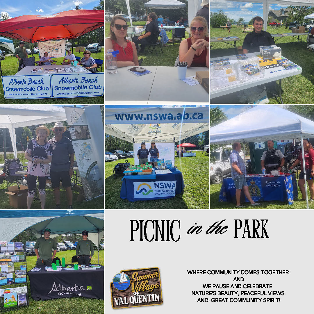 2025 COMMUNITY PICNIC IN THE PARK (1)_Page_2